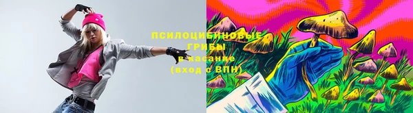 круглые Алексеевка