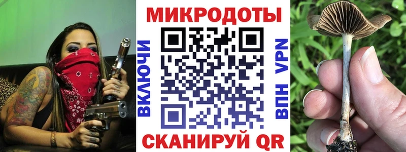 Галлюциногенные грибы прущие грибы  сколько стоит  Сокол 