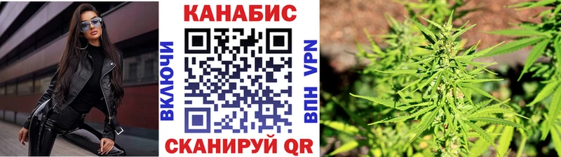 купить Сокол Шишки марихуана Amnesia
